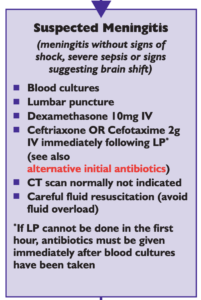 lumbar puncture meningitis