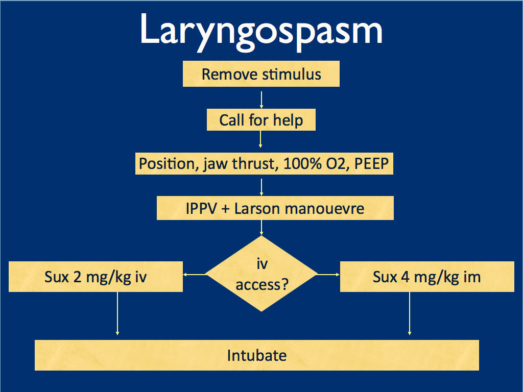 Laryngospasm After Ketamine Resusme